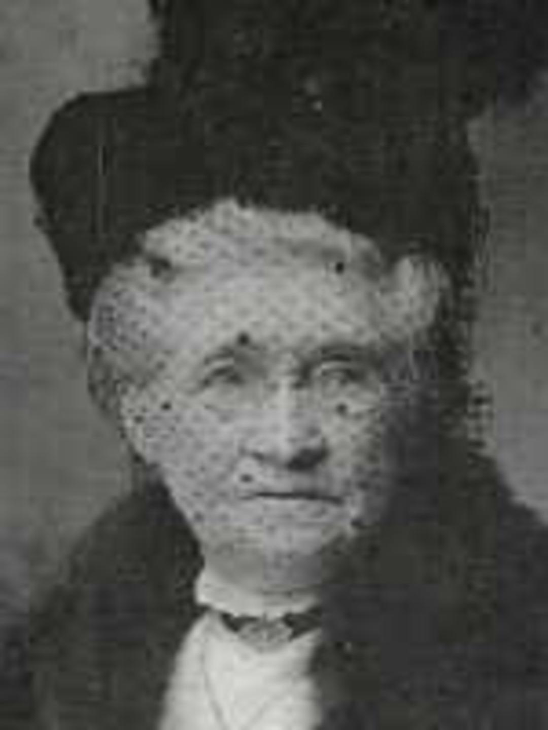 Nancy Sebrina Matheny (1837 - 1914) Profile